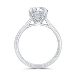 Bella Ponte Diamond Engagement Ring Setting in Platinum