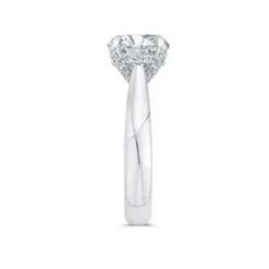 Bella Ponte Diamond Engagement Ring Setting in Platinum