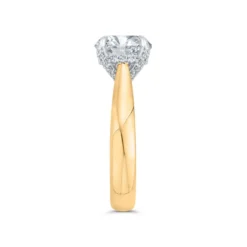 Bella Ponte Diamond Engagement Ring Setting in Platinum & 14K