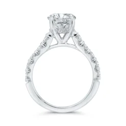 Bella Ponte Engagement Ring Setting in Platinum