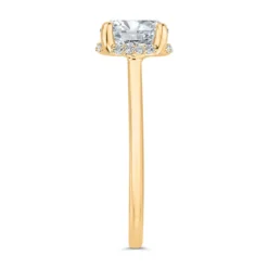 Bella Ponte
