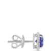 Blue Tanzanite and Diamond Halo Studs, 14K White Gold