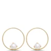 Cultured Pear Open Center Earrings, 14K Yellow Gold