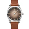 OMEGA Seamaster Railmaster Brown Dial Watch, 38mm