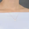 Paw Print Cut Out Mini Disc Necklace 14K